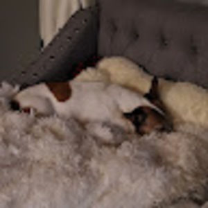 Meet your Posher, Amie